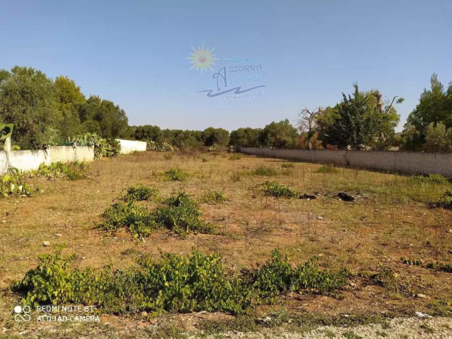 Immagine 5 di Terreno agricolo in vendita  in Provinciale 132 0 a Maruggio