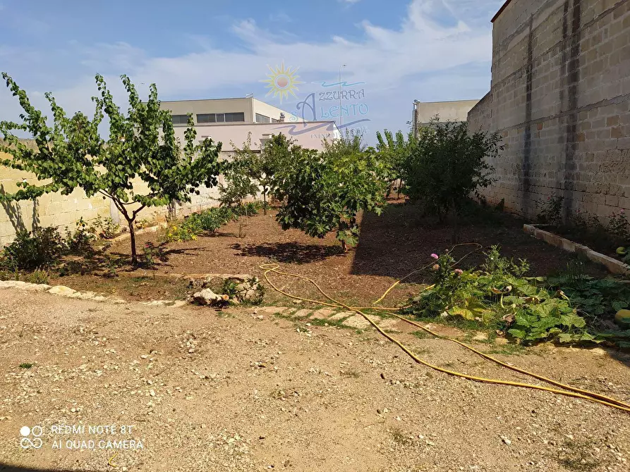 Immagine 10 di Rustico / casale in vendita  in Statale 7 ter Salentina 0 a Sava