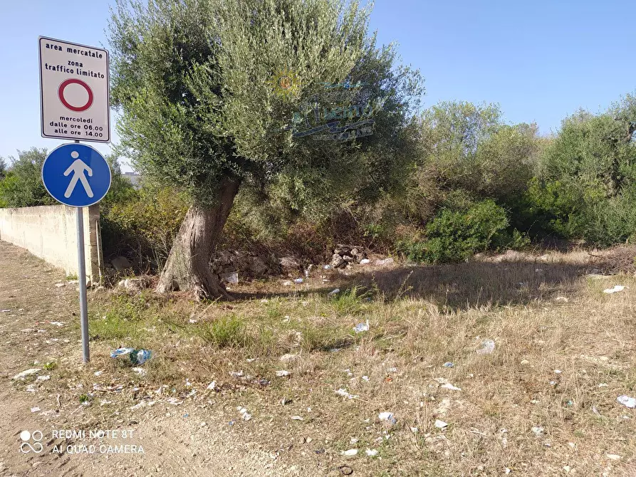 Immagine 5 di Terreno residenziale in vendita  in Fratelli Bandiera 0 a Maruggio