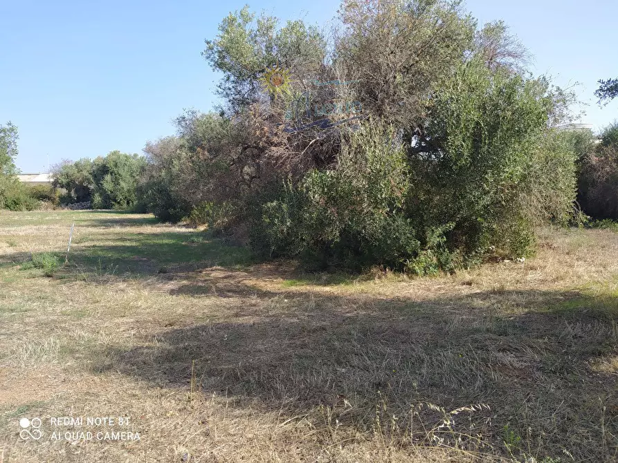 Immagine 6 di Terreno residenziale in vendita  in Fratelli Bandiera 0 a Maruggio