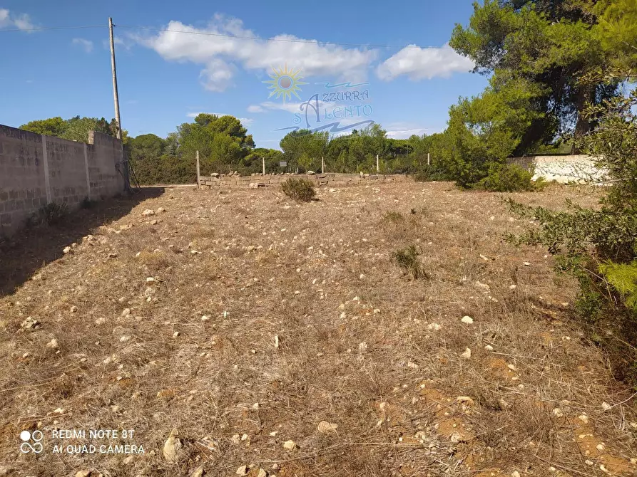 Immagine 5 di Terreno agricolo in vendita  in Mirante 0 a Maruggio