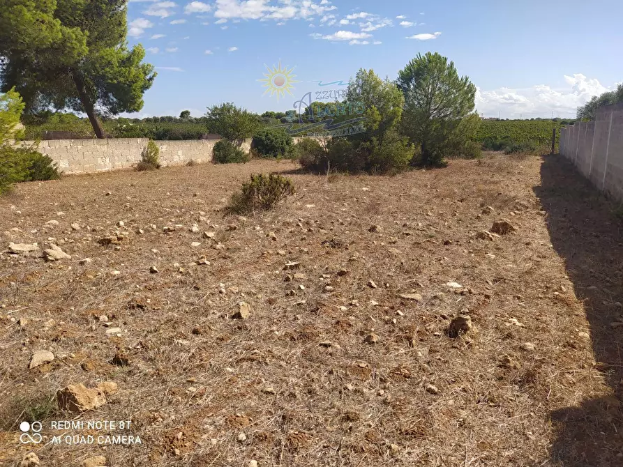 Immagine 6 di Terreno agricolo in vendita  in Mirante 0 a Maruggio