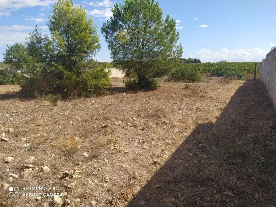 Immagine 4 di Terreno agricolo in vendita  in Mirante 0 a Maruggio