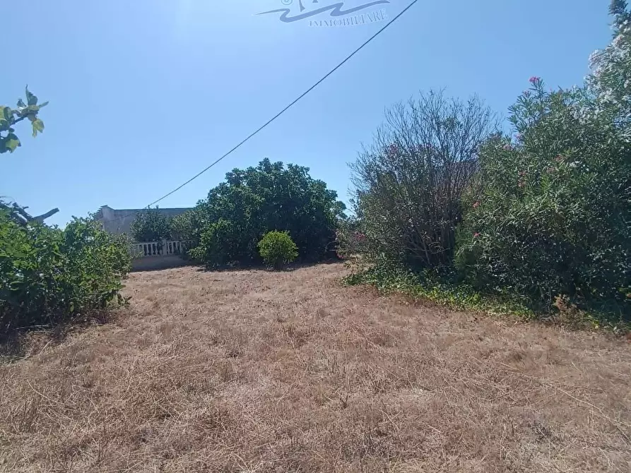 Immagine 11 di Villa in vendita  in CONTRADA TRULLO DI MARE a Torricella