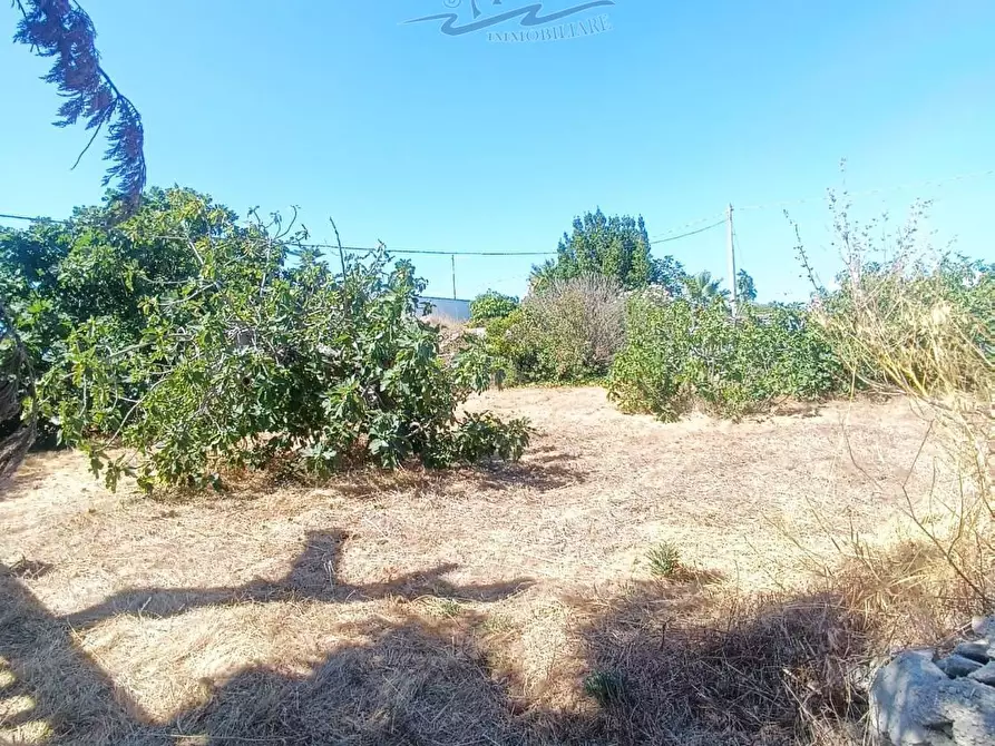 Immagine 12 di Villa in vendita  in CONTRADA TRULLO DI MARE a Torricella
