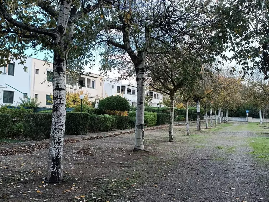 Immagine 4 di Appartamento in vendita  in contrada mirante a Maruggio