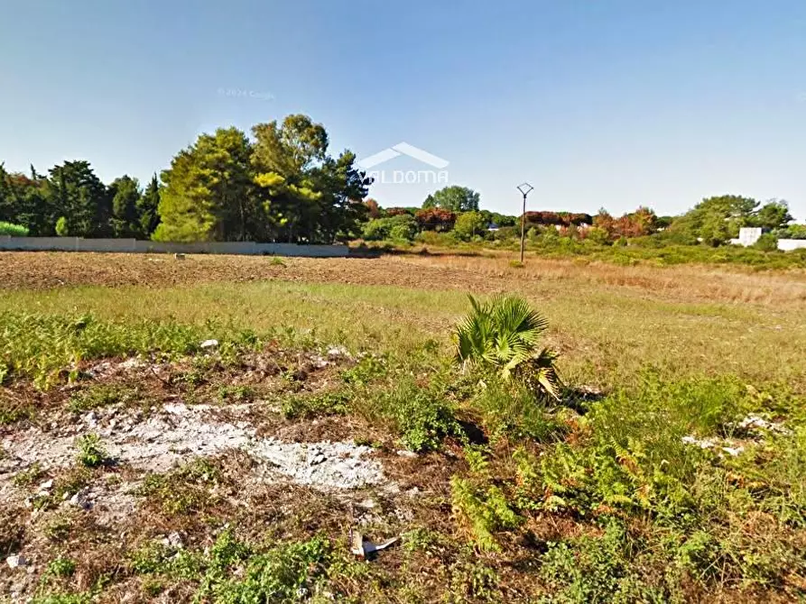 Immagine 10 di Terreno agricolo in vendita  in VIA Luigi Tenco sc a Melendugno