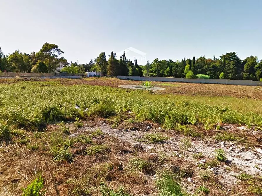 Immagine 11 di Terreno agricolo in vendita  in VIA Luigi Tenco sc a Melendugno