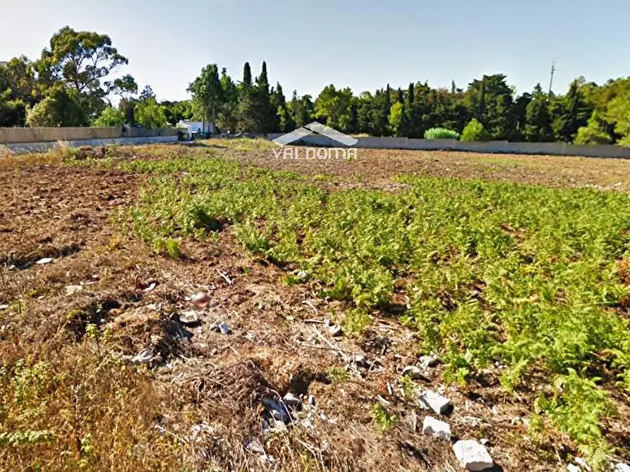 Immagine 12 di Terreno agricolo in vendita  in VIA Luigi Tenco sc a Melendugno