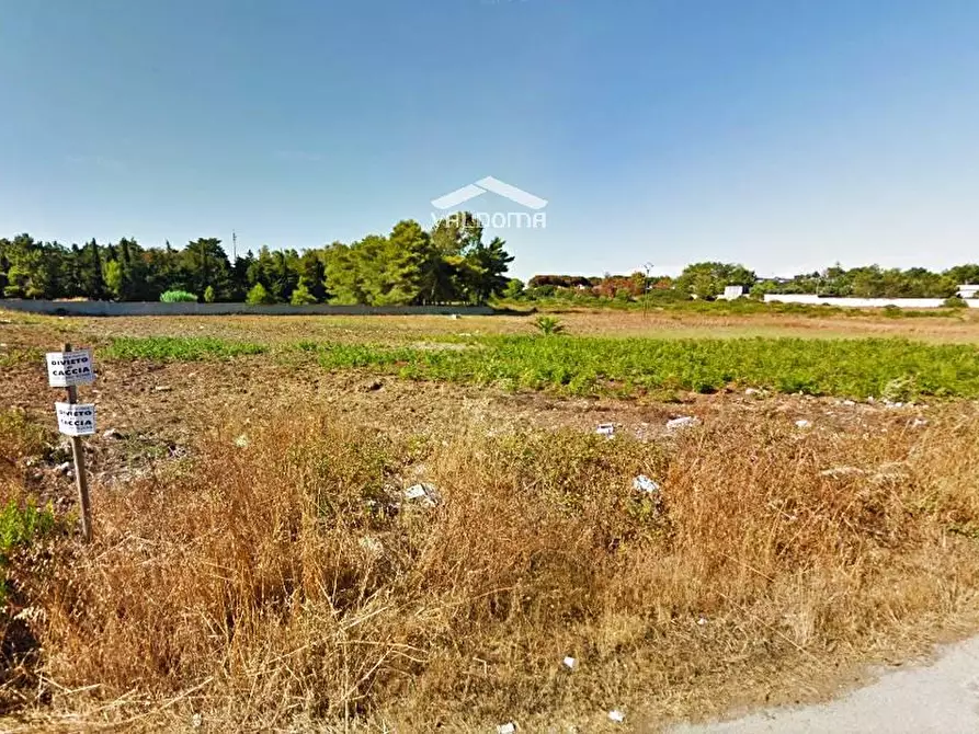 Immagine 13 di Terreno agricolo in vendita  in VIA Luigi Tenco sc a Melendugno