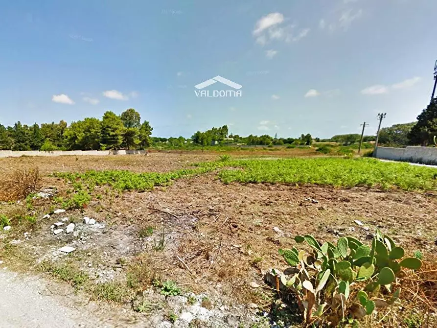 Immagine 14 di Terreno agricolo in vendita  in VIA Luigi Tenco sc a Melendugno