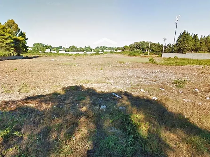 Immagine 9 di Terreno agricolo in vendita  in VIA Luigi Tenco sc a Melendugno