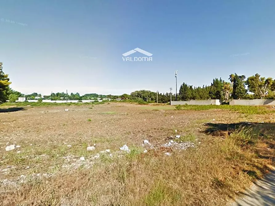 Immagine 8 di Terreno agricolo in vendita  in VIA Luigi Tenco sc a Melendugno