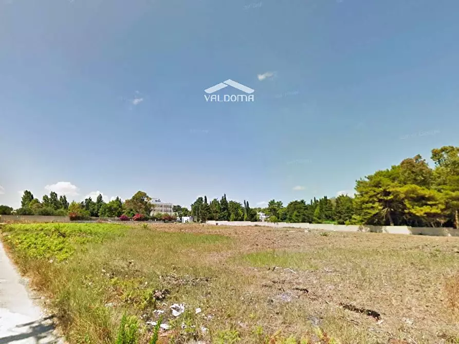 Immagine 15 di Terreno agricolo in vendita  in VIA Luigi Tenco sc a Melendugno