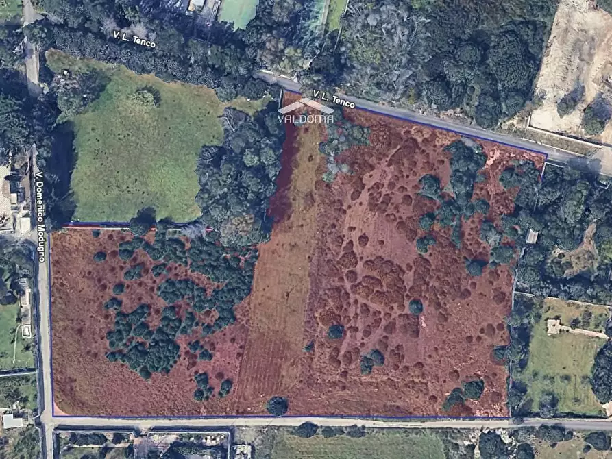 Immagine 4 di Terreno agricolo in vendita  in VIA Luigi Tenco sc a Melendugno