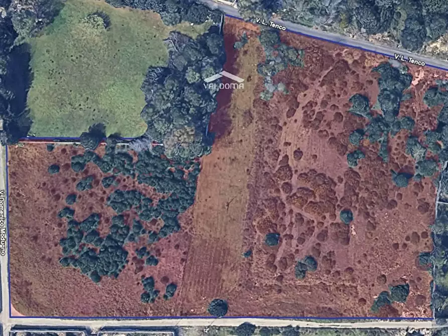 Immagine 3 di Terreno agricolo in vendita  in VIA Luigi Tenco sc a Melendugno