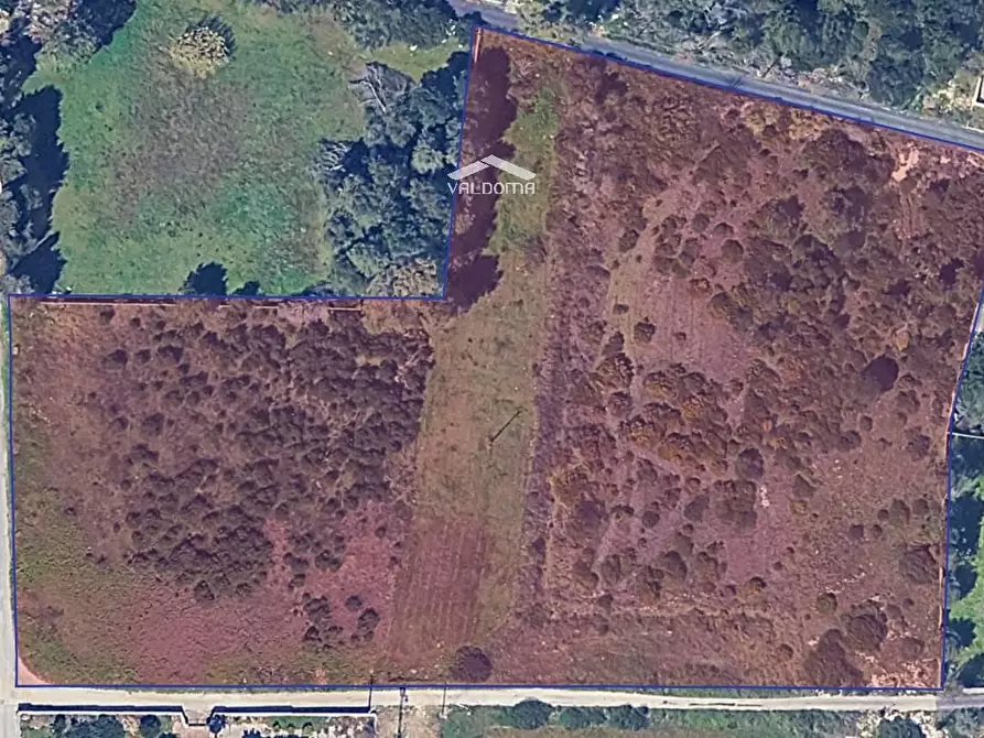 Immagine 5 di Terreno agricolo in vendita  in VIA Luigi Tenco sc a Melendugno