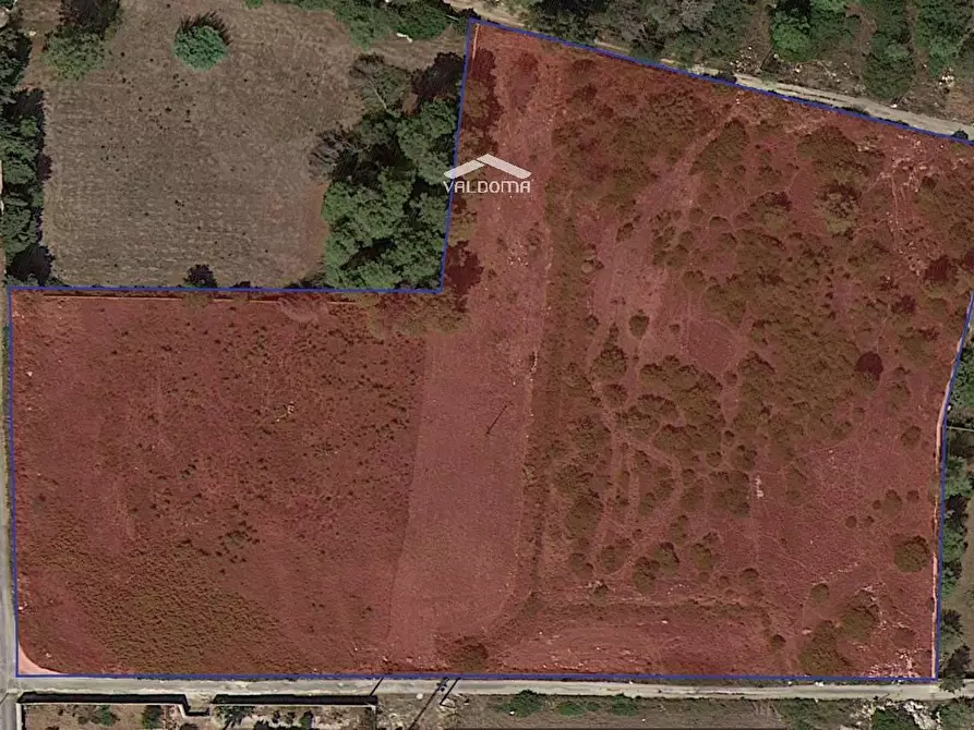 Immagine 6 di Terreno agricolo in vendita  in VIA Luigi Tenco sc a Melendugno