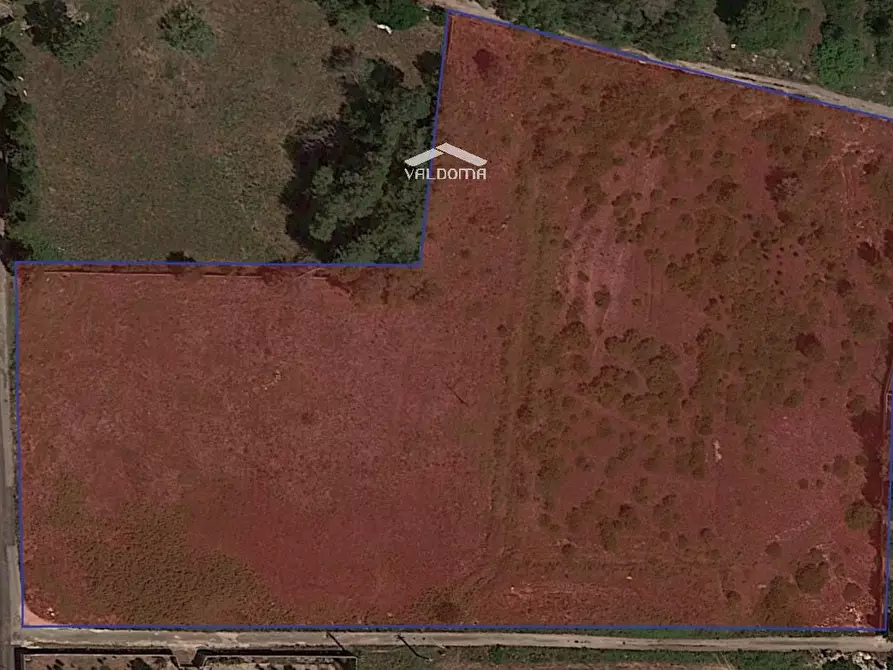 Immagine 7 di Terreno agricolo in vendita  in VIA Luigi Tenco sc a Melendugno