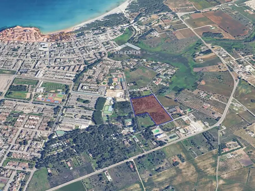 Immagine 2 di Terreno agricolo in vendita  in VIA Luigi Tenco sc a Melendugno