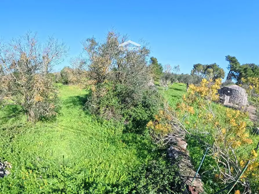 Immagine 2 di Terreno residenziale in vendita  in STRADA Provinciale 35 per Corigliano sc a Castrignano De' Greci