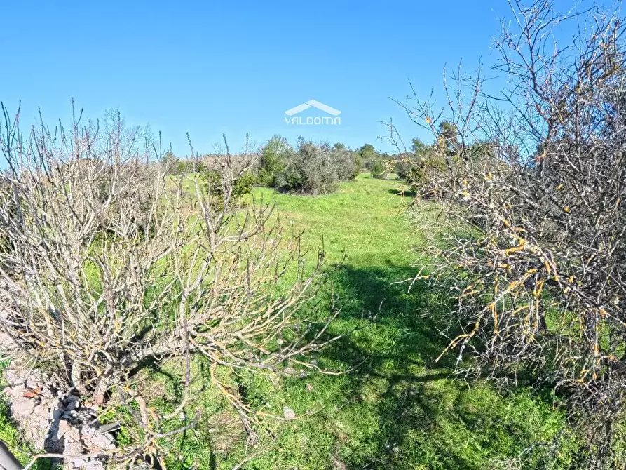 Immagine 4 di Terreno residenziale in vendita  in STRADA Provinciale 35 per Corigliano sc a Castrignano De' Greci