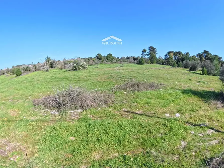 Immagine 6 di Terreno residenziale in vendita  in STRADA Provinciale 35 per Corigliano sc a Castrignano De' Greci