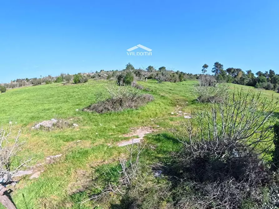 Immagine 7 di Terreno residenziale in vendita  in STRADA Provinciale 35 per Corigliano sc a Castrignano De' Greci