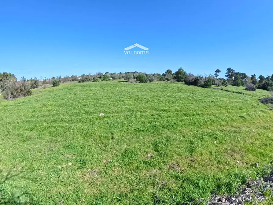 Immagine 8 di Terreno residenziale in vendita  in STRADA Provinciale 35 per Corigliano sc a Castrignano De' Greci