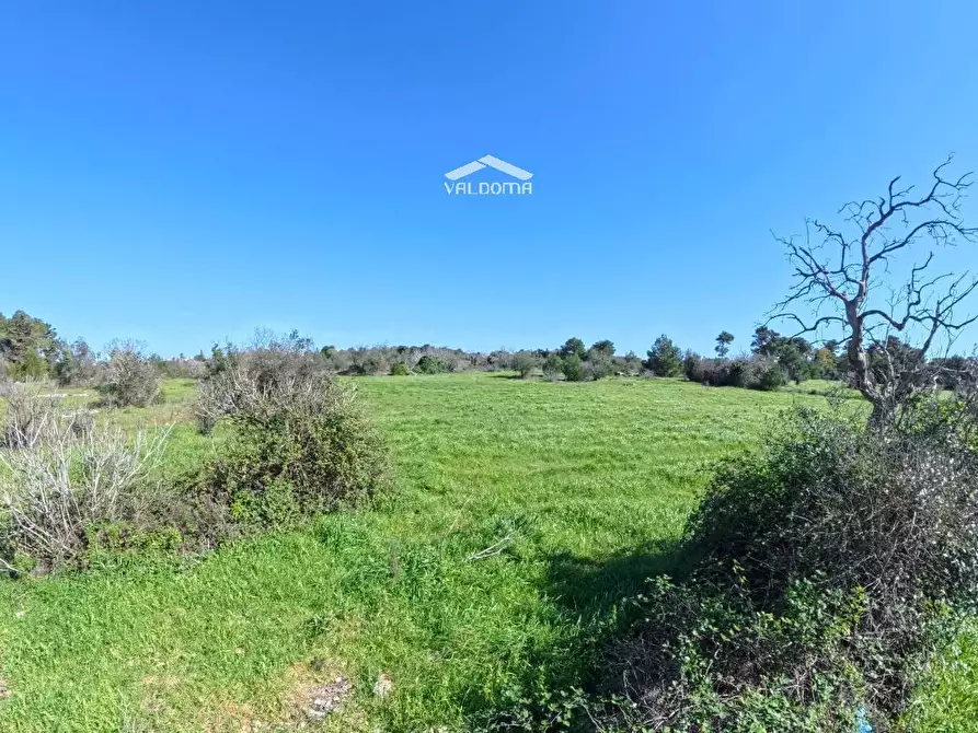 Immagine 9 di Terreno residenziale in vendita  in STRADA Provinciale 35 per Corigliano sc a Castrignano De' Greci