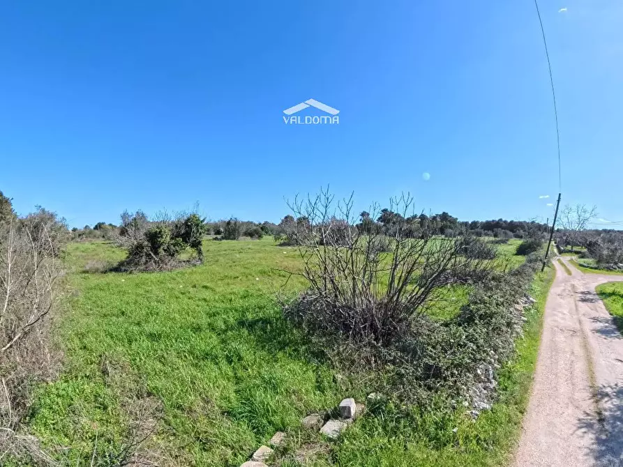 Immagine 10 di Terreno residenziale in vendita  in STRADA Provinciale 35 per Corigliano sc a Castrignano De' Greci