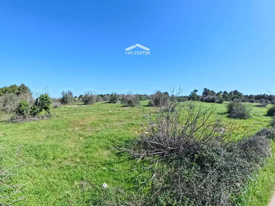 Immagine 11 di Terreno residenziale in vendita  in STRADA Provinciale 35 per Corigliano sc a Castrignano De' Greci