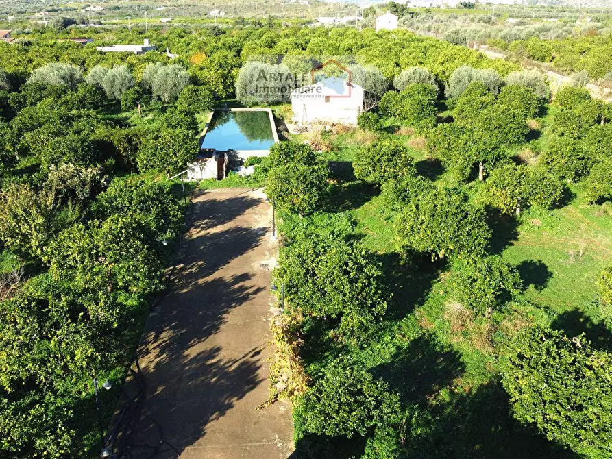 Immagine 1 di Terreno residenziale in vendita  in Falconara 0 a Noto