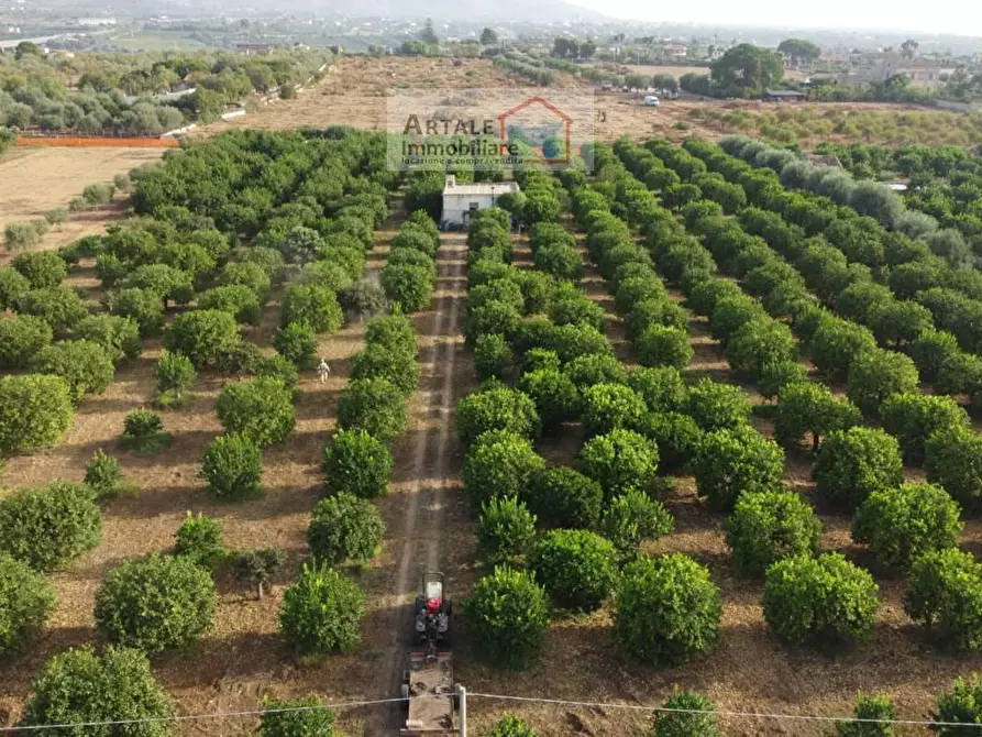 Immagine 1 di Terreno agricolo in vendita  in CONTRADA Falconara a Noto