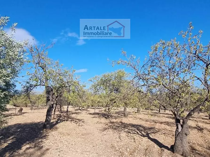 Immagine 1 di Terreno residenziale in vendita  in CONTRADA Petrara a Avola