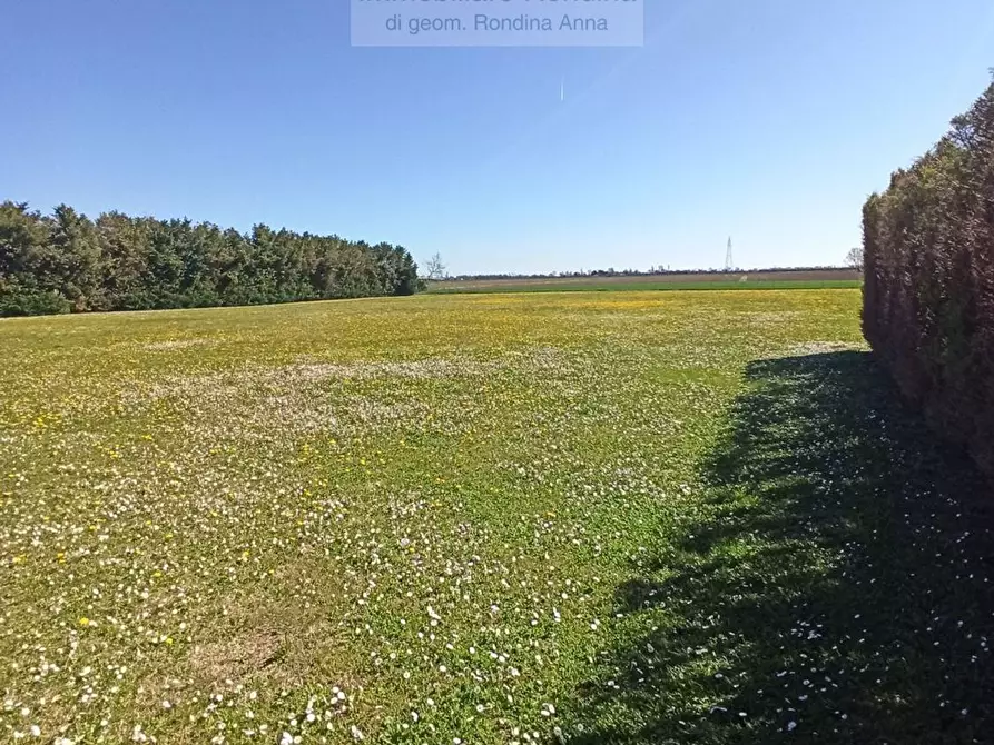 Immagine 1 di Terreno residenziale in vendita  in Arginone CornÃ¨ 1050 a Arqua' Polesine