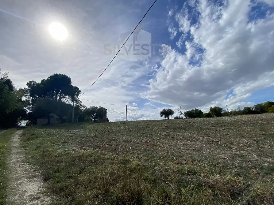 Immagine 1 di Terreno agricolo in vendita  in statale 16bis 0 a Spoltore