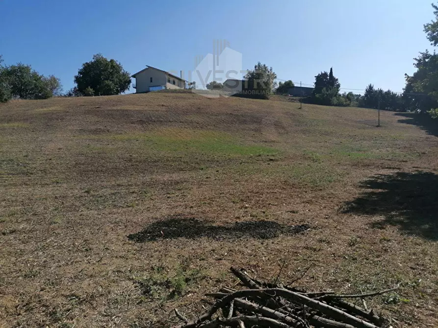 Immagine 1 di Terreno agricolo in vendita  in VIA Santa Lucia 81-79 a Spoltore