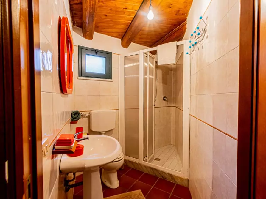 Immagine 16 di Appartamento in affitto  a Palermo