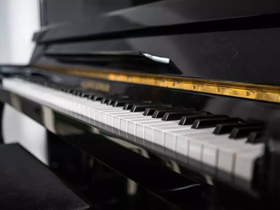 Immagine 5 di Appartamento in affitto  a Bologna