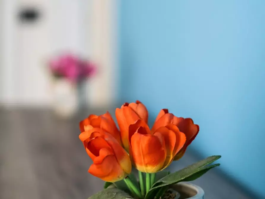 Immagine 10 di Appartamento in affitto  a Bologna