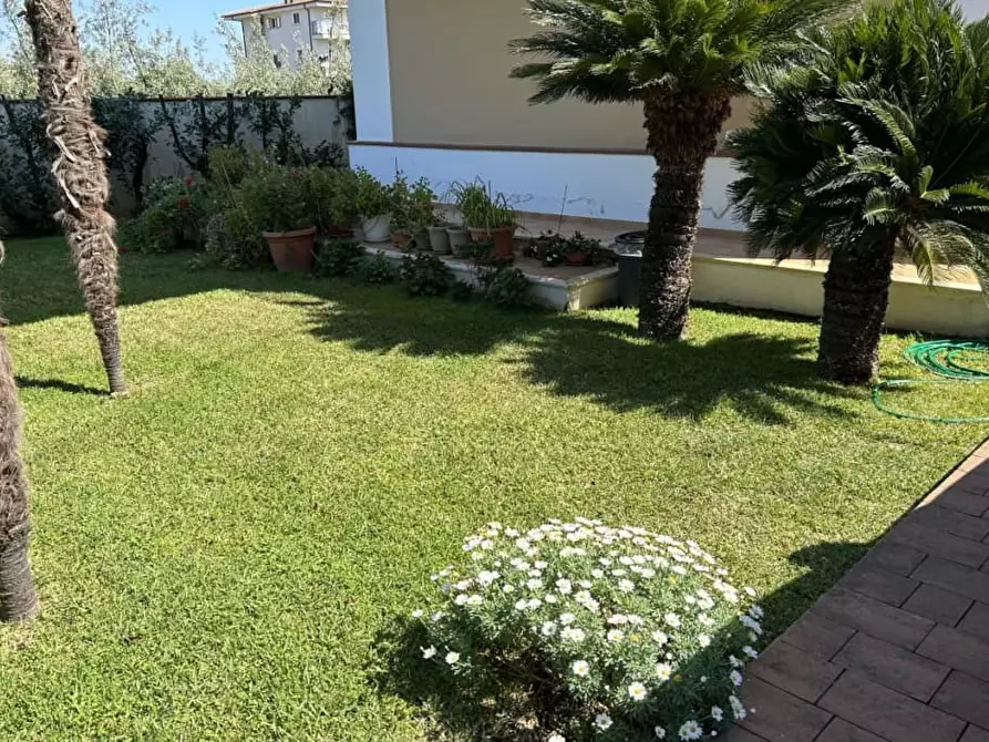 Immagine 12 di Appartamento in affitto  a Lamezia Terme