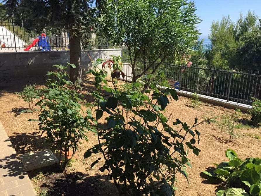 Immagine 21 di Appartamento in affitto  in Str. del Palazzo, 66 a Pescara