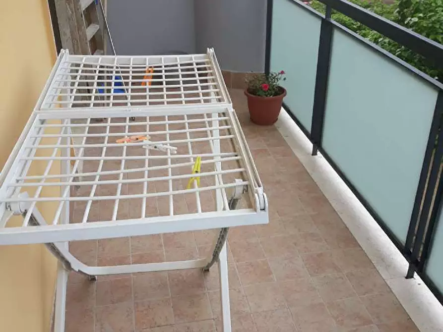 Immagine 20 di Appartamento in affitto  a Montesilvano