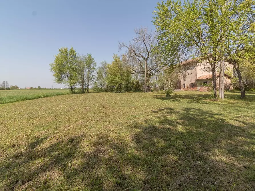 Immagine 2 di Rustico / casale in vendita  a Carpi