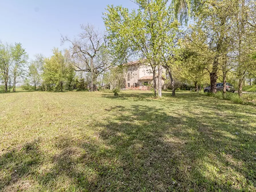 Immagine 5 di Rustico / casale in vendita  a Carpi