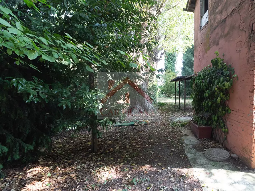 Immagine 11 di Rustico / casale in vendita  a Campogalliano