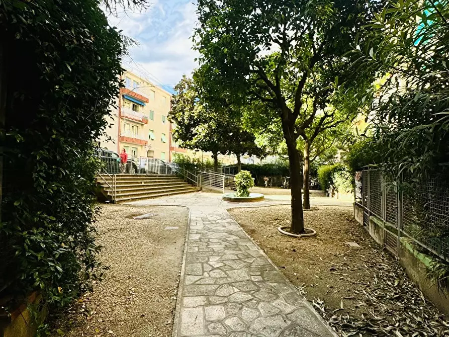 Immagine 5 di Appartamento in vendita  a Alassio