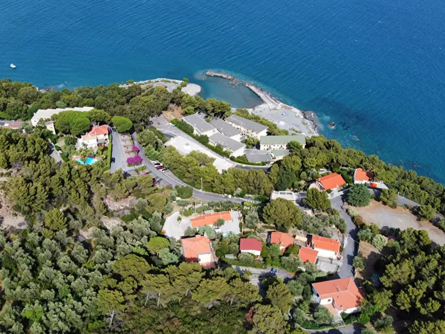 Immagine 2 di Villa in vendita  a Badalucco