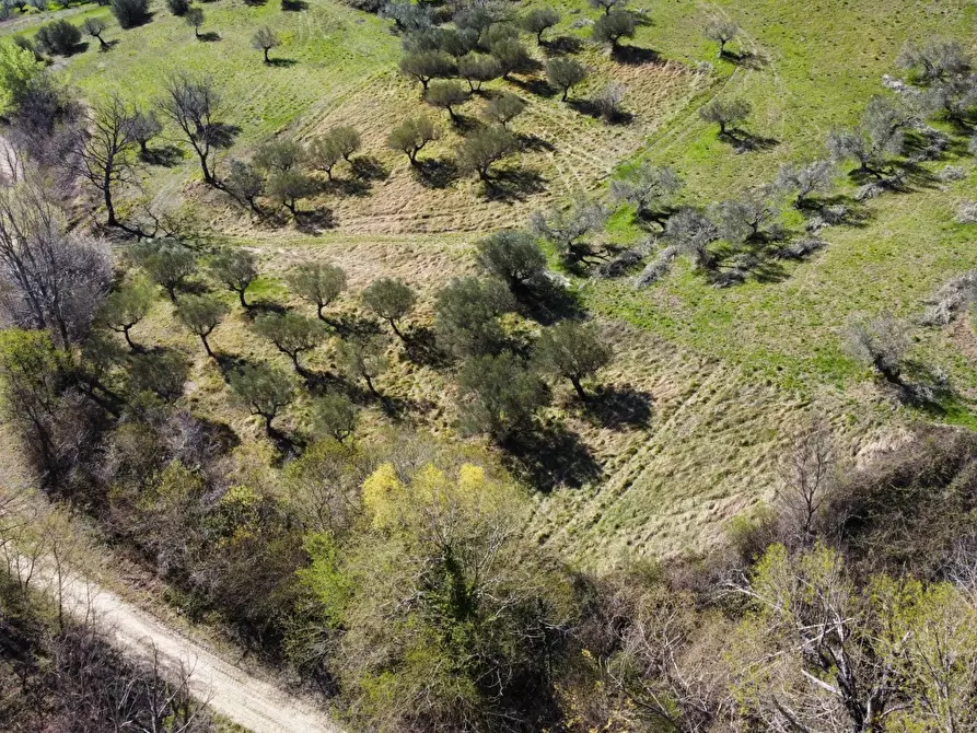 Immagine 23 di Appartamento in vendita  a Brittoli
